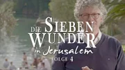 Wilkin van de Kamp