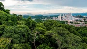 Wolkenkratzer und Urwald – Panama hat beides.