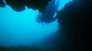 Taucher erforscht das Meer