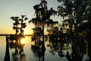 Die Wasserqualität des Lake Martin Sees wird vom "Louisiana Department of Wildlife and Fisheries" überwacht.