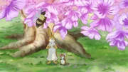 Der kleine Hase und die kleine Feldmaus beobachten eine Biene.