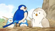 Das Küken aus dem Glücks-Ei ist sehr groß und ganz anders als Blauvogels eigene Küken. Doch obwohl es ganz anders ist, hat Blauvogel es genau so lieb wie ihre eigenen Kinder.