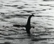 Schottland, August, 1934, Ein Foto, das angeblich das Ungeheuer von Loch Ness zeigt. Dieses Foto wurde viele Jahre später als Fälschung entlarvt