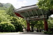 Im heutigen Südkorea kommen die Schamanen zunehmend in Verruf – trotzdem beeinflussen sie noch immer die koreanische Identität.