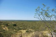 Die Pampa gehört zu den charakteristischen Landschaften Patagoniens. Sie erstreckt sich im argentinischen Teil östlich der Anden.