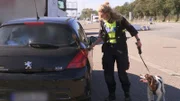 Border officer with a dog