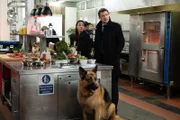 l-r: Sarah Truong (Mayko Nguyen), Rex (Diesel vom Burgimwald) und Charlie Hudson (John Reardon)