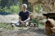 Armin Kobus leitet eine Zuchtstation für Auerhühner: Er begleitet sechs Küken seit dem Schlüpfen. Armin Kobus leitet eine Zuchtstation für Auerhühner: Er begleitet sechs Küken seit dem Schlüpfen.