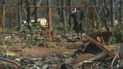 Die Folgen des Waldbrandes in Kalifornien.