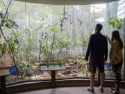 Sunny is very happy with the way the new bird habitat turned out, "I think one of the really nice things about this redesign is that it gives the visitors an opportunity to see the birds a little bit closer. There isn't that hidden space behind the waterfall like there was with that old water feature, so, people can really see them up close."