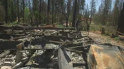 Anastasia sieht sich an, was von ihrem Haus nach dem Waldbrand übrig geblieben ist.