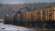 Güterzüge, die norwegisches Holz transportieren, nutzen dieselbe Strecke wie Personenzüge auf der Strecke nach Bergen.