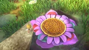 Das ist die vermeintliche Glücksblume.