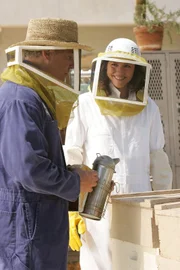 Grissom und Sara kümmern sich um den Bienenstock.