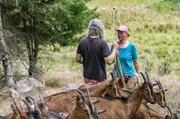 Die neue Weide anzulegen ist für die Albrechts vom Windberghof im Südschwarzwald im unwegsamen Gelände auf über 1000 Metern Höhe kein Kinderspiel.