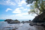 Snake Island