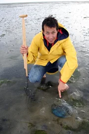 Willi bei einer Wattwanderung vor Hallig Hooge mit einer Qualle. Heute erfährt er Einiges über Ebbe und Flut.