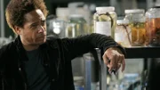 Warrick (Gary Dourdan) betrachtet interessiert das Modell, das Grissom per Kurier zugestellt wurde. Handelt es sich dabei um die plastische Ansicht eines Mordes?