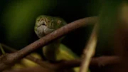 "Najdziksze wyspy Indonezji" - "Wildest Islands Of Indonesia"