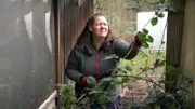 Pflanzenflüsterin Anna-Vera legt sich mit einem stacheligen Gegner an: Die Brombeerhecke muss weg