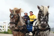 Kerstin Ketelsen und Willi in einer Pferdekutsche auf der Hallig Hooge. Bei Sturmflut stehen hier die Wiesen und Wege unter Wasser.