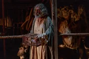 Noah soll für sich, seine Familie und für ein Paar einer jeden Tierart eine riesige Arche gebaut haben. Zu fantastisch, um wahr zu sein?