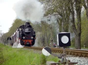 Sie ist über 120 Jahre alt und sie sieht fast noch so aus, wie damals, die Bäderbahn "Molli" zwischen Bad Doberan und Kühlungsborn am Ostseestrand.