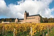 Blick auf das Kloster St. Hildegard in Rüdesheim.
