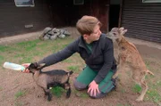 Pflegerin Desirée Studt mit Mufflonkind Rosi und Zicklein Carla.