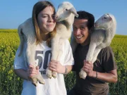 Willi Weitzel besucht in Hammelburg Wanderschäfer Bonifaz und seine Familie. Mit der Tochter Carina füttert er zwei Lämmchen.