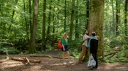 Toni (Sarah Buchholzer l.) und Simon (Thore Lüthje M.) sind zusammen "Wald baden". Noah (Jan Liem r.) schließt sich spontan an - mit Badesachen.
