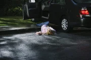 Ihr grausamer Tod erschüttert die ganze Wisteria Lane: Edie (Nicotlette Sheridan) ...
