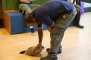Jason and Marmot Mot Mot.