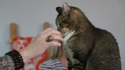 Zachary sniffing Jackson's hand.