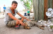 Die Tier-Doku begleitet Pfleger und freiwillige Helfer, die auf der namibischen Wildtierfarm der Harnas Wildlife Foundation rund 400 Tiere versorgen. Heute steht die Reinigung des Nashorngeheges auf dem Programm. Volontär Eric unterstützt Geparden-Forscherin Caro.