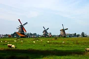 Dutch windmills of The Netherlands, that it's often the first fact people recall about the country. Dutch windmills of The Netherlands, that it's often the first fact people recall about the country.