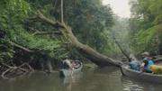 Steve Backshall im Moukalaba Nationalpark