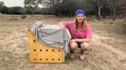 In dieser Transportkiste steckt ein Kappengeier. Nina darf ihn in die Freiheit entlassen. Weiteres Bildmaterial finden Sie unter www.br-foto.de.