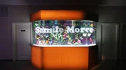 The 3800-litre tank with a large ‘Smile More’ logo and 50 colourful underwater inhabitants