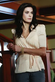 Katherine möchte zu Mikes Einzug eine Einweihungsfeier geben, zu der zum Erstaunen der anderen auch Susan (Teri Hatcher) erscheint. Dort entdeckt sie, dass Katherine ein von ihr für Mike gemaltes Bild von der Wand genommen hat ...