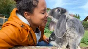 Kaninchendame „Kiara“ zeigt Pia, wie zutraulich und neugierig Deutsche Widder sind.