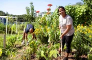 Zum Finale geht es in den Interkulturellen Gemeinschaftsgarten nach Lahr im Schwarzwald. Hier gärtnert die heutige Gastgeberin Sugirtha Navarathinam (r) gemeinsam mit 25 anderen Menschen. Auf ihrer Parzelle baut sie vor allem Nutzpflanzen aus ihrer Heimat Sri Lanka an: Bittergurken, besondere Bohnen und Auberginen.