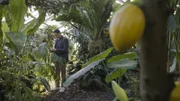 Goldtüpfelfarn statt Sonnencreme: An der Uni Mainz erforscht der Molekularbiologe Patrick Schmitt den Bio-Sonnenschutz der Maya.