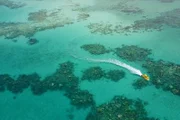 Das Great Barrier Reef - eines der bedeutendsten Naturwunder