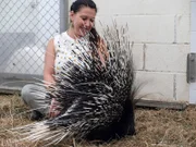Porcupine Junebug with Kathleen.