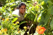 Zum Finale geht es in den Interkulturellen Gemeinschaftsgarten nach Lahr im Schwarzwald. Hier gärtnert die heutige Gastgeberin Sugirtha Navarathinam gemeinsam mit 25 anderen Menschen. Auf ihrer Parzelle baut sie vor allem Nutzpflanzen aus ihrer Heimat Sri Lanka an: Bittergurken, besondere Bohnen und Auberginen.