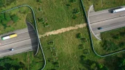 Grünbrücken wie an der A1 verbinden Wildwechsel.