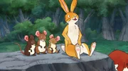 Es ist eine schwüle Nacht und der kleine Hase kann nicht einschlafen. Er besucht die kleine Feldmaus und ihre Geschwister. Sie wollen sich im Fluss abkühlen.