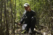 Teddy trimming tree branch