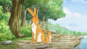 Der kleine braune Hase fragt sich, wo der Fluss wohl zu Ende ist. Das wollen sich die beiden Hasen genau ansehen und folgen dem Flusslauf.